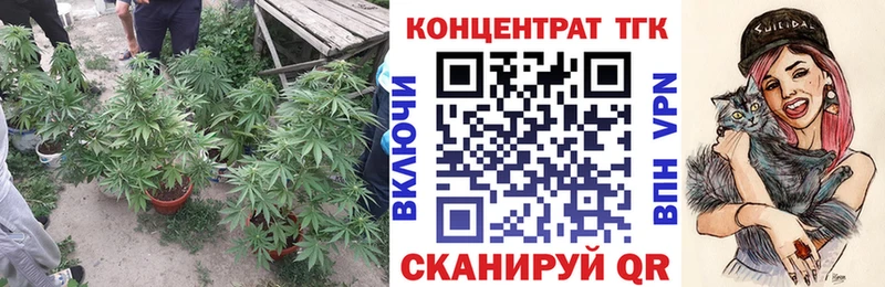 дарнет шоп  Новоржев  ТГК жижа 
